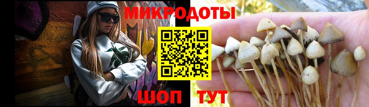 Псилоцибиновые грибы мицелий  Вход с VPN  Кириши 